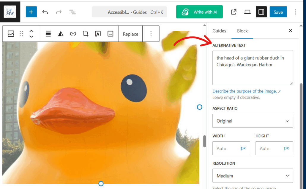 screenshot of the alt text sidebar panel in WordPress